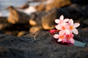 Flowers relaxing Calm hair removal